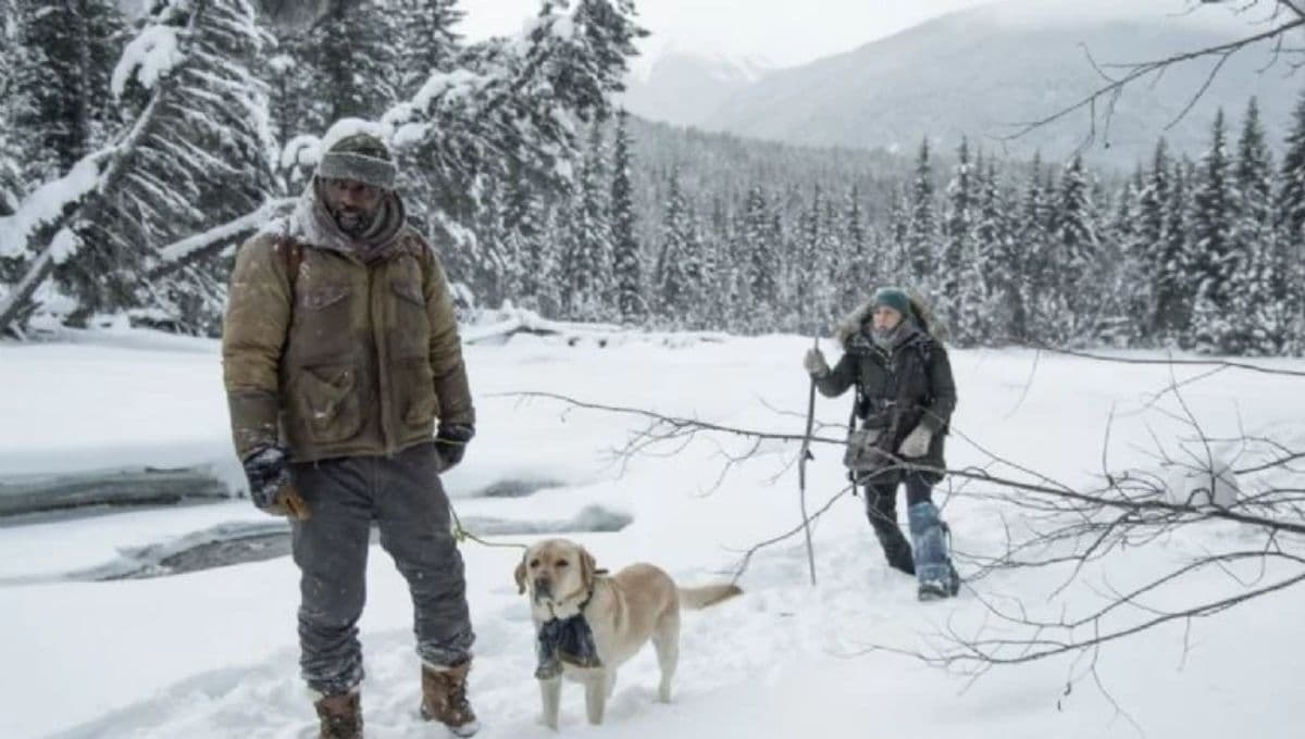 ¿Existió el perro de ‘Más Allá de la Montaña’ en la vida real?