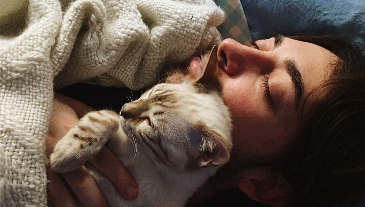 ¿Cuál es el significado espiritual de que un gato se acueste en mi pecho?