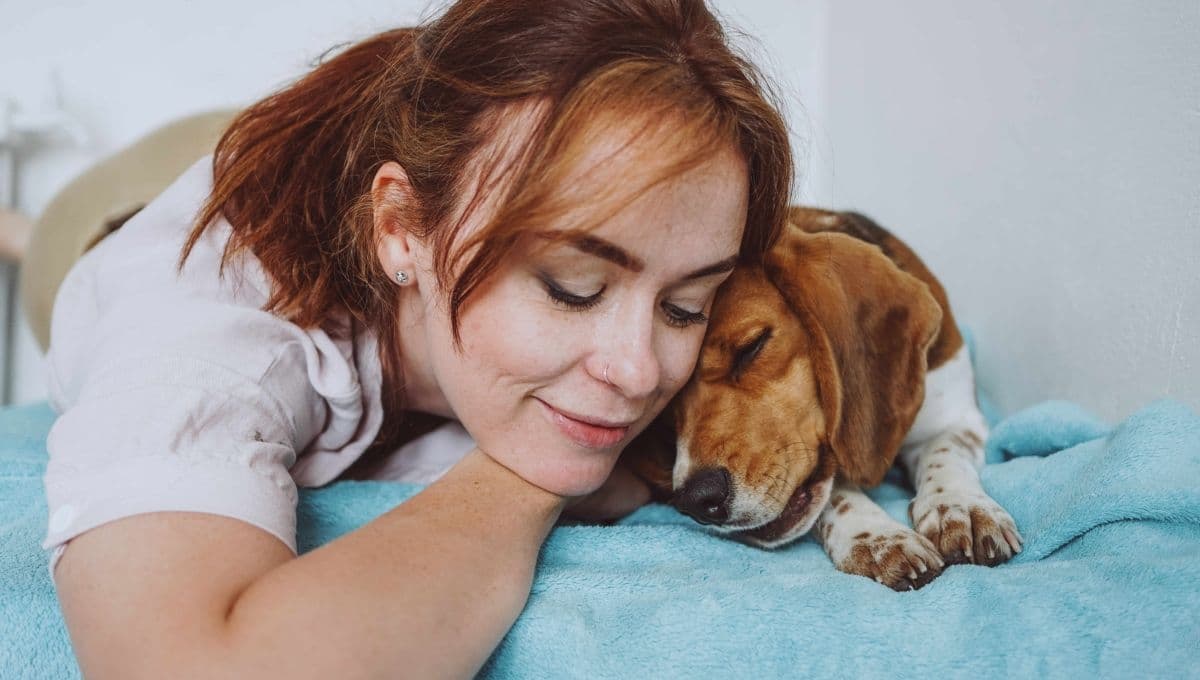 5 películas de perros tristes para llorar a moco tendido