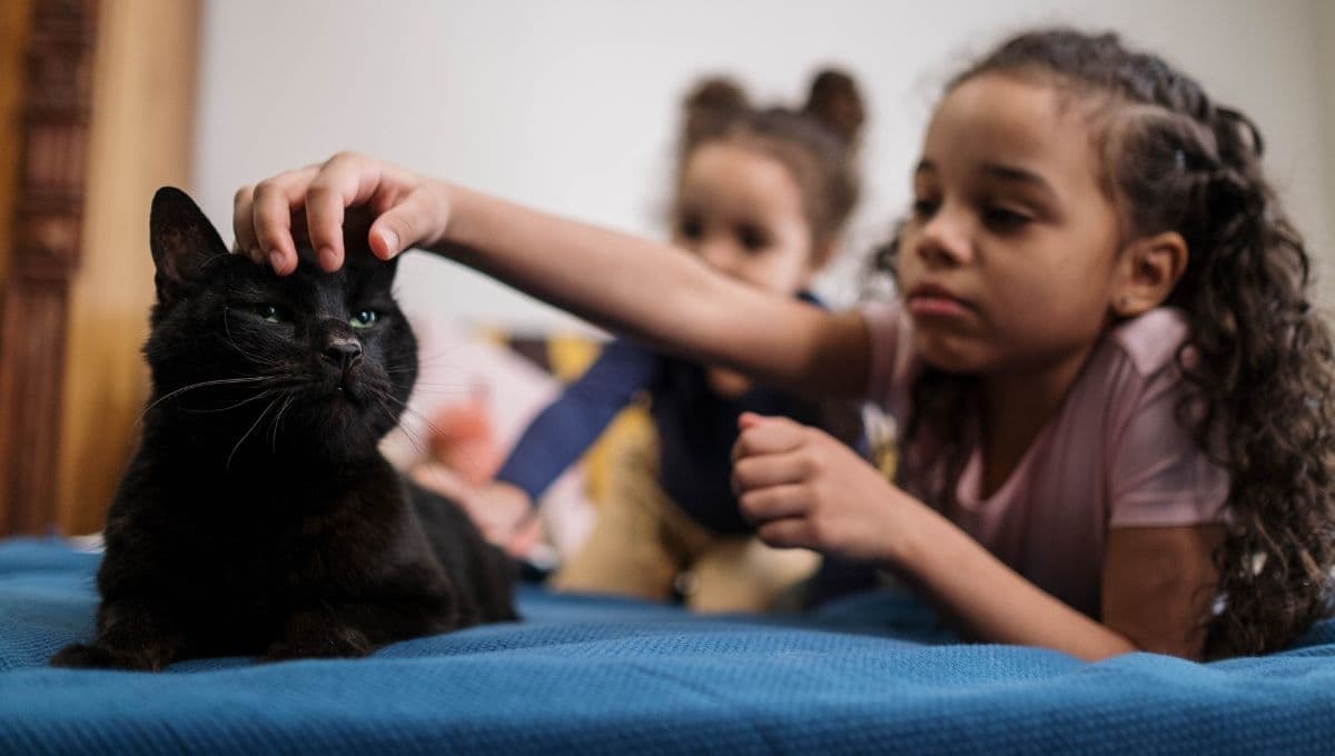 ¿Cómo educar a un niño para cuidar a perros y gatos?