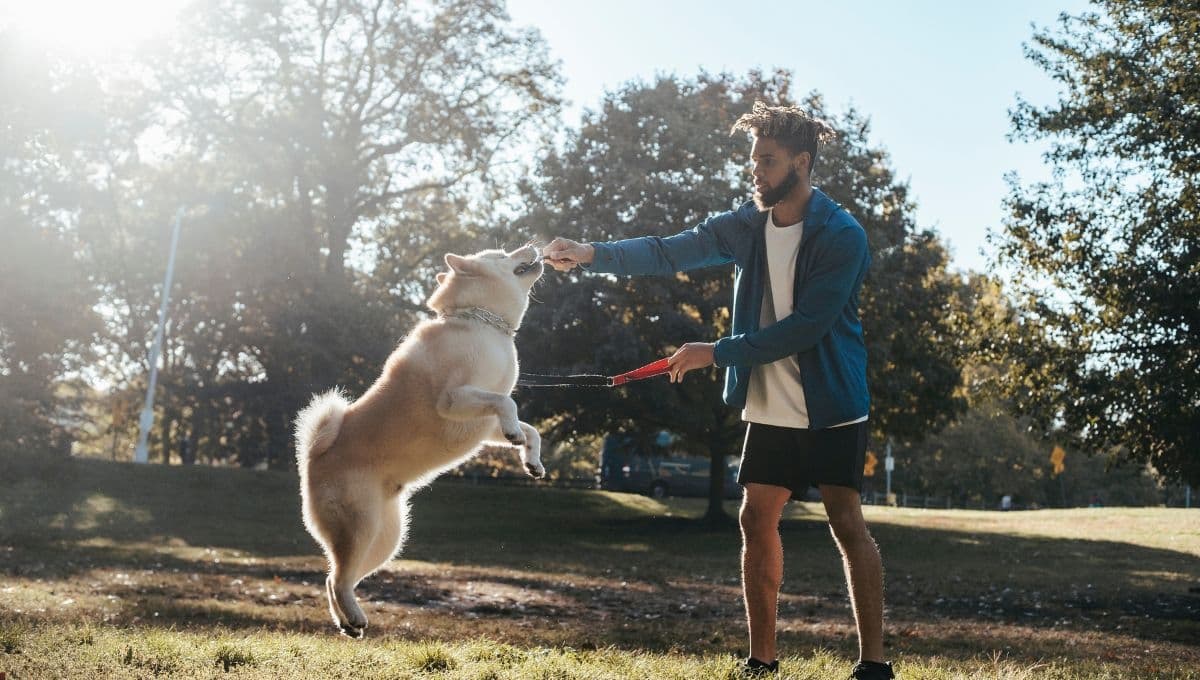 ¿Dónde llevar a tu perro CDMX? 5 parques para llevar a tu lomito