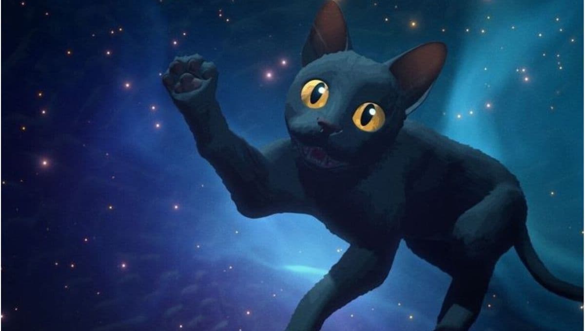 ¿Qué raza es el gato de Flow?