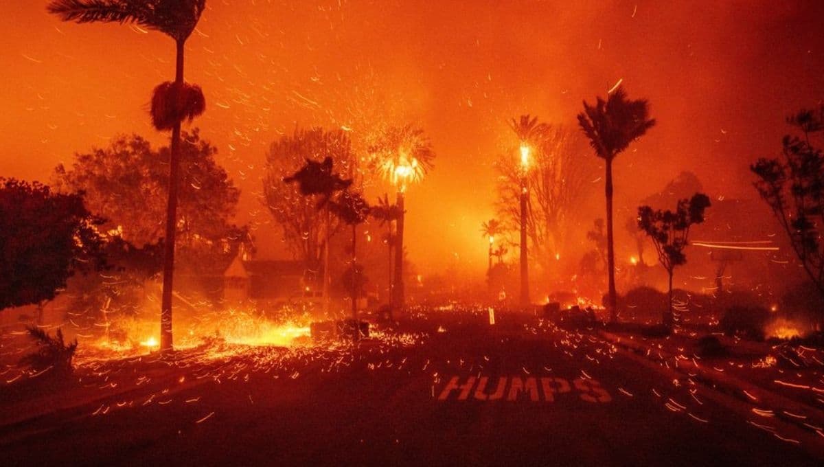 Familias de Los Ángeles, California, piden ayuda para salvar a sus mascotas de los incendios