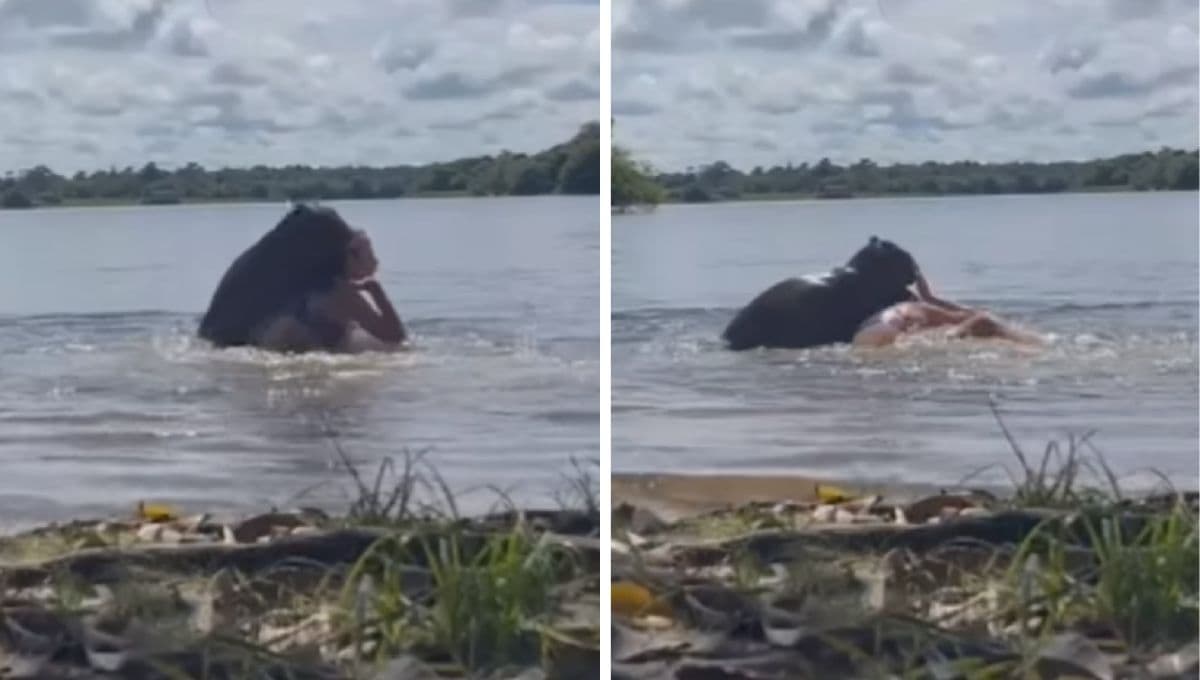 Capibara ataca y muerde a mujer por acercarse mucho a él | VIDEO