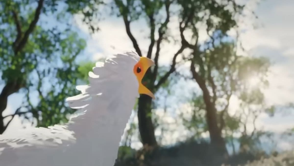 ¿Qué pasó con el ave de Flow?