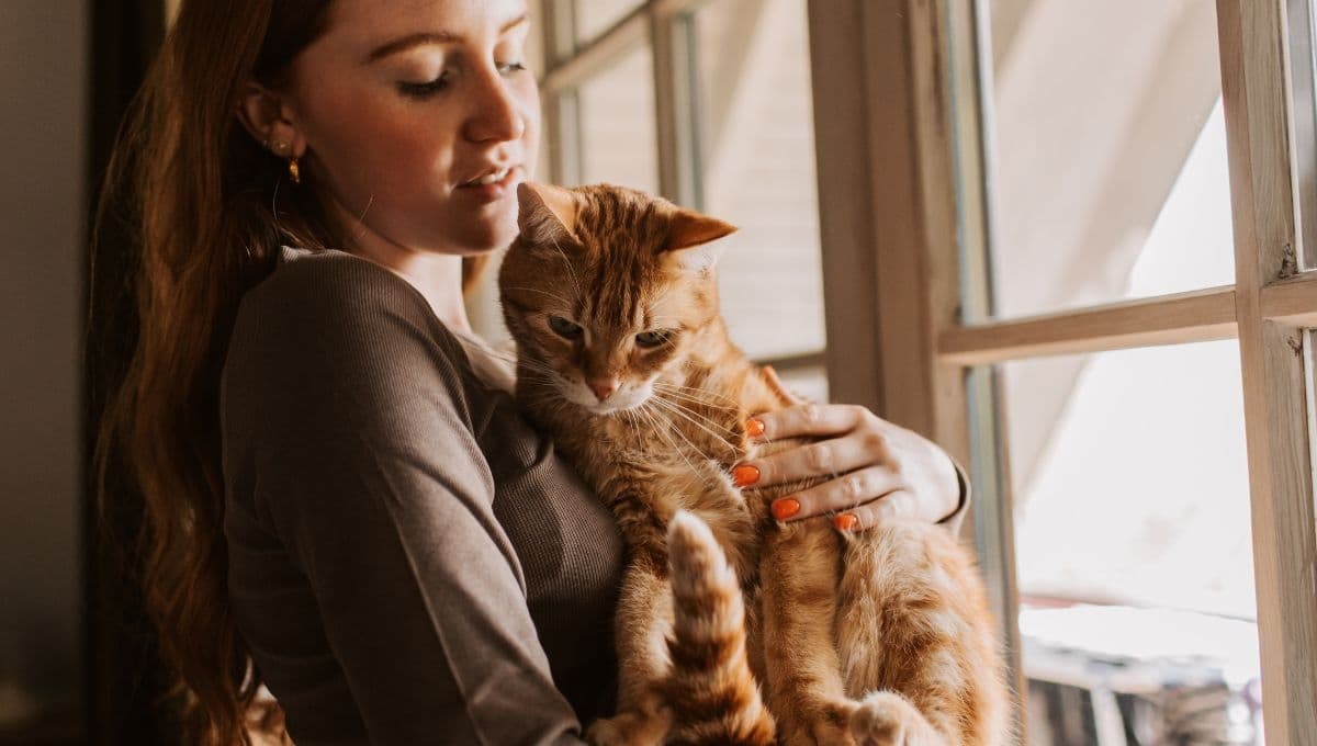 ¿Qué siente mi gato cuando lloro?