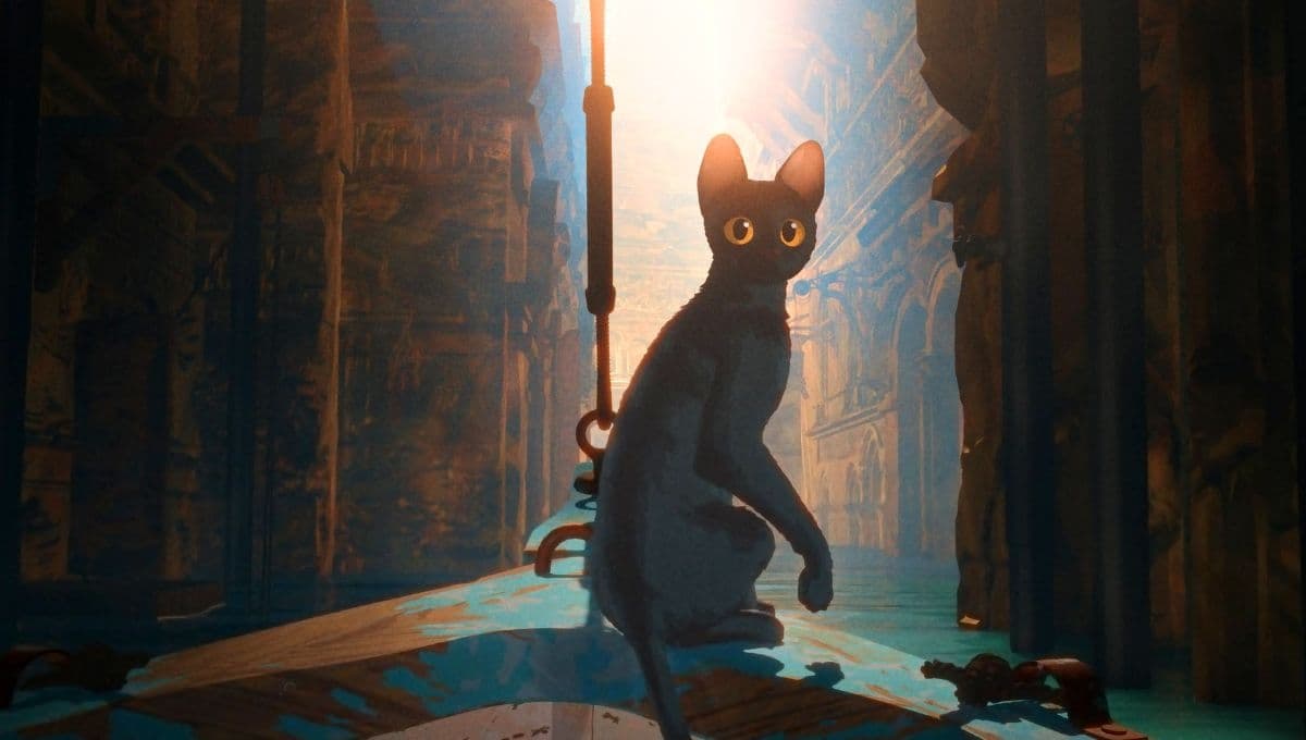 ¿Cuál es el verdadero color del gato de Flow según el director de la película?