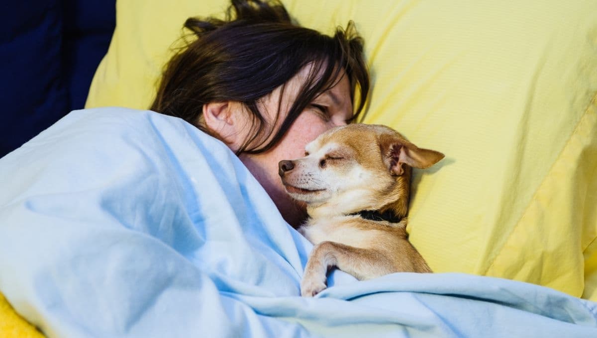 Cómo las mascotas pueden ayudar a superar la tristeza del Blue Monday