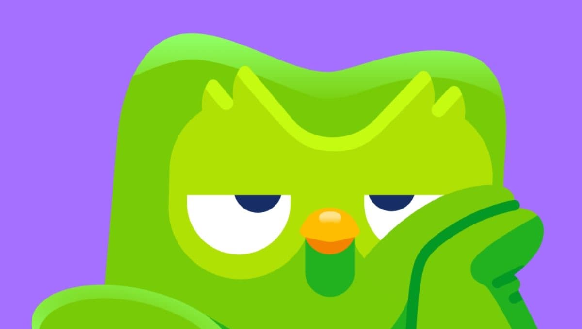¿Qué tipo de ave es la mascota de Duolingo?