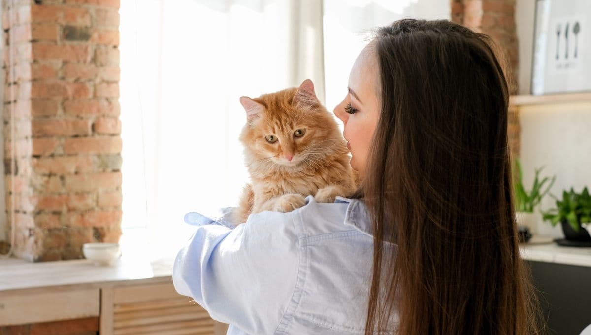 ¿Por qué mi gatito no ronronea?