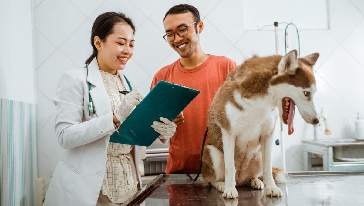 Cómo se puede saber si mi perro tiene diabetes