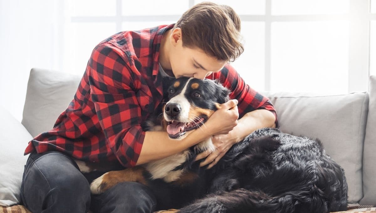 Estudio revela las ventajas y desventajas de tener un perro