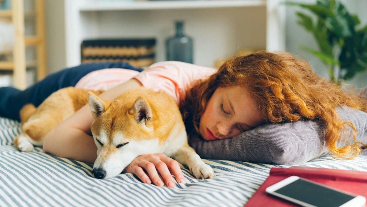 ¿Tiene beneficios dormir con tu perro? Estudio revela las ventajas para ambos