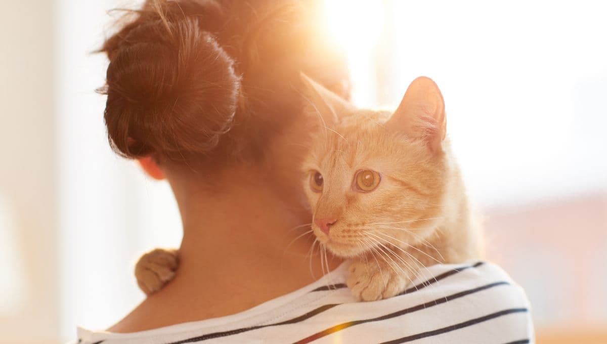 La ciencia revela cómo ganarte la confianza de un gato en cuestión de segundos