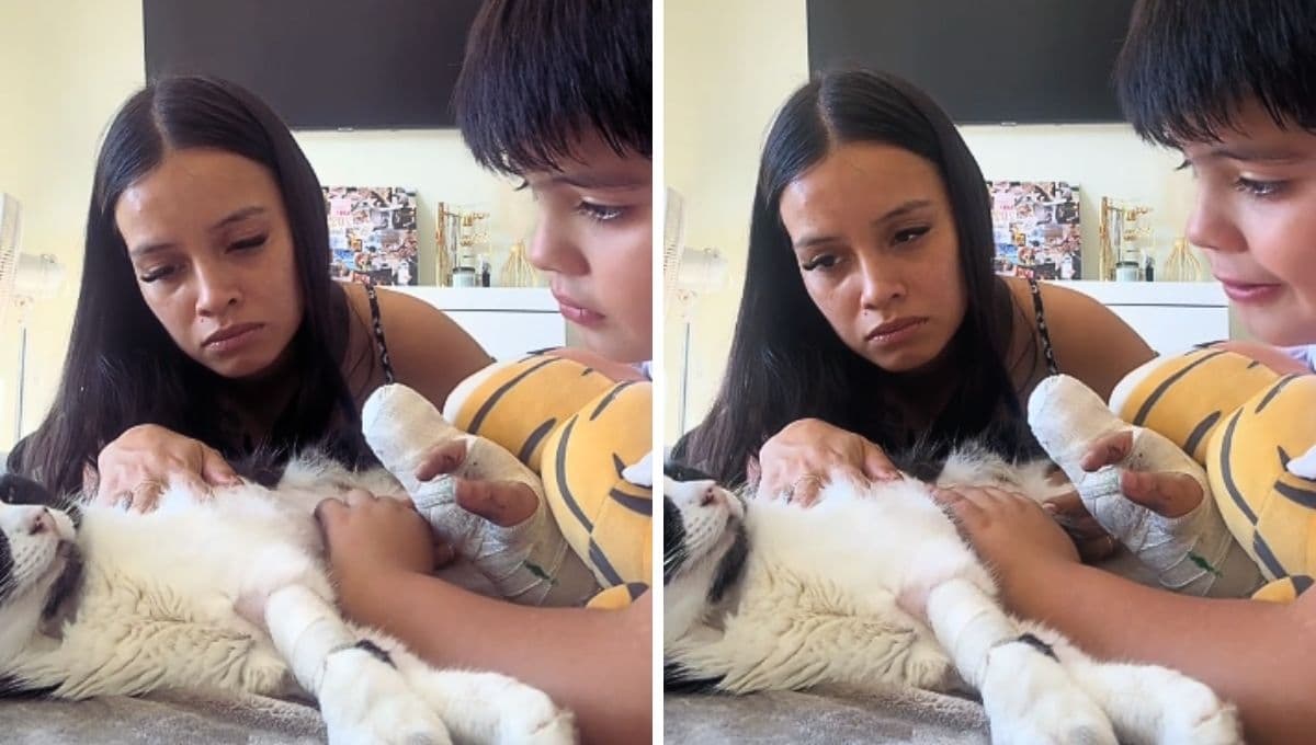 Niño le pide a su gatita que ya no luche y descanse en paz ‘no queremos que te duela’