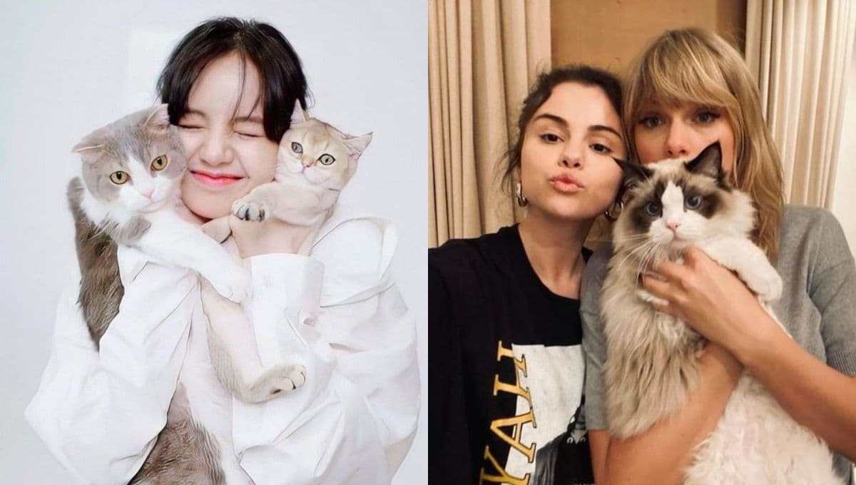 5 gatos de famosos: los michis más envidiados por su fama y fortuna