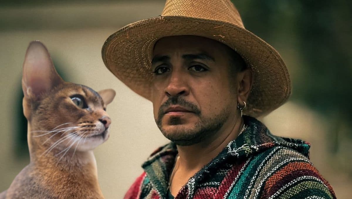 Luis Fernando Peña pierde a su gato exótico, solo hay 3 en México