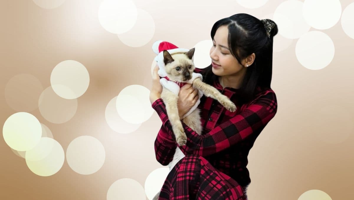 ¿Qué raza son los gatos de Lisa de BLACKPINK?