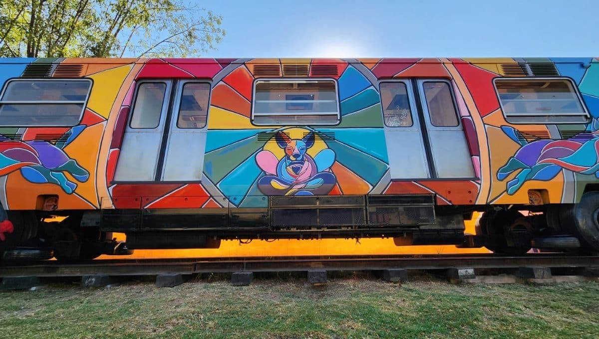 Centro de Transferencia Canina recicla vagón del Metro de CDMX, ¿para qué lo usarán?