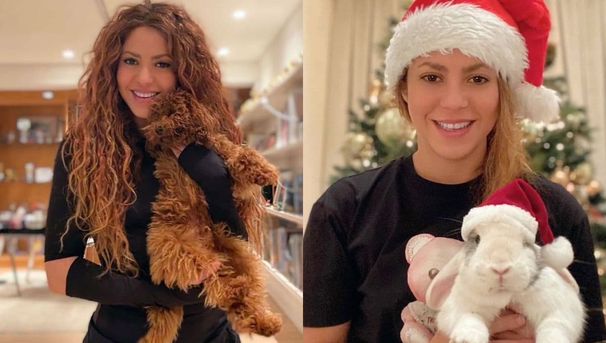 ¿Cuántas mascotas tiene Shakira?
