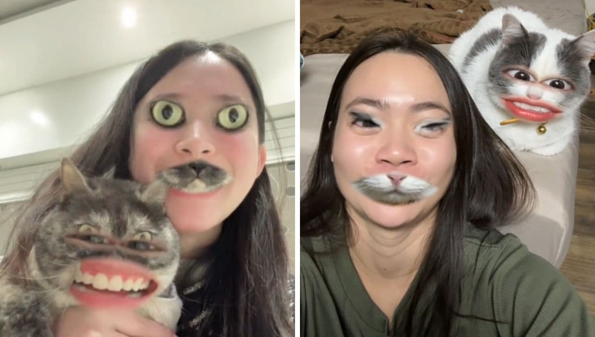 ¿Cómo usar el filtro para cambiar la cara con tu mascota en Tiktok?