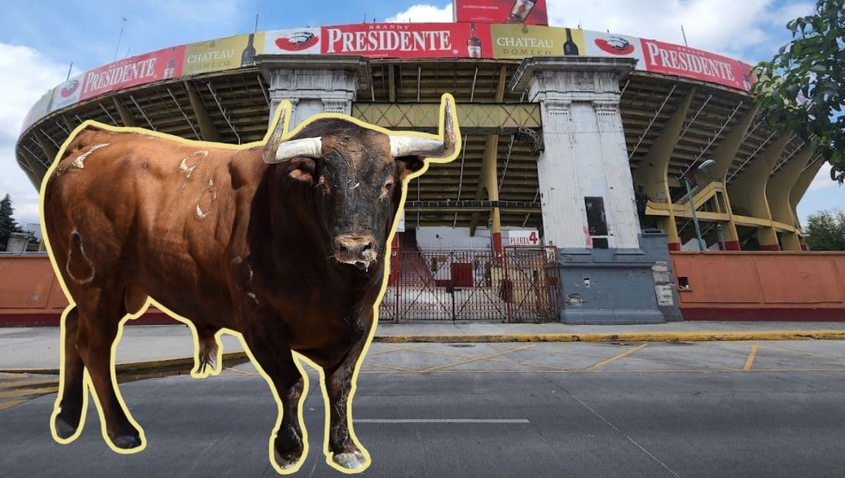 ¿Cómo serán las corridas de toros? CDMX aprueba nuevas medidas para que el animal no sufra