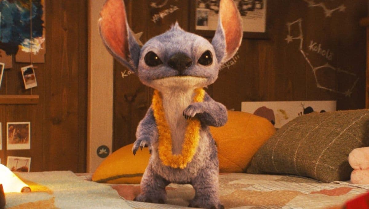 ¿Qué animal es Stitch?