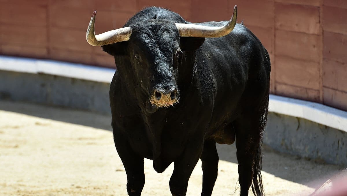 ¿Cómo serán las corridas de toros sin violencia? Congreso de CDMX aprueba la iniciativa