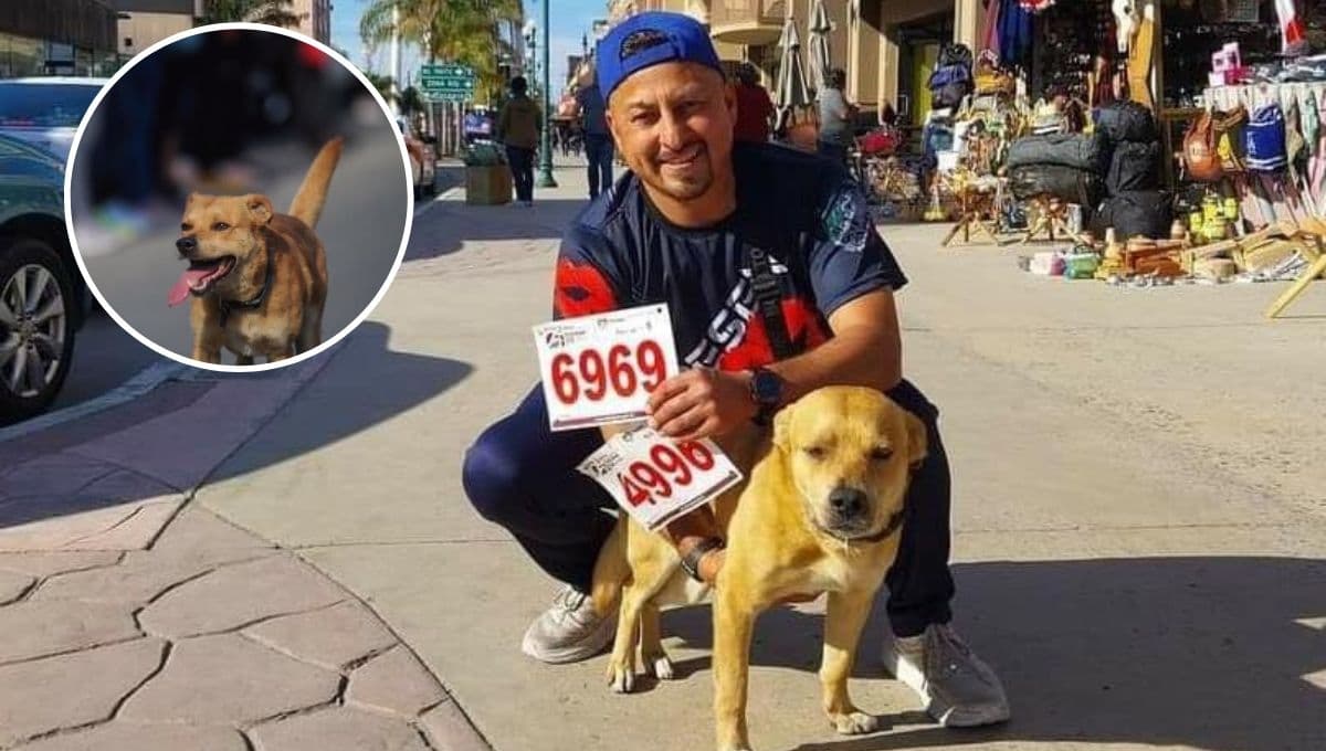 Los tristes inicios de El Chicles, el perro corredor que ya GANÓ un maratón