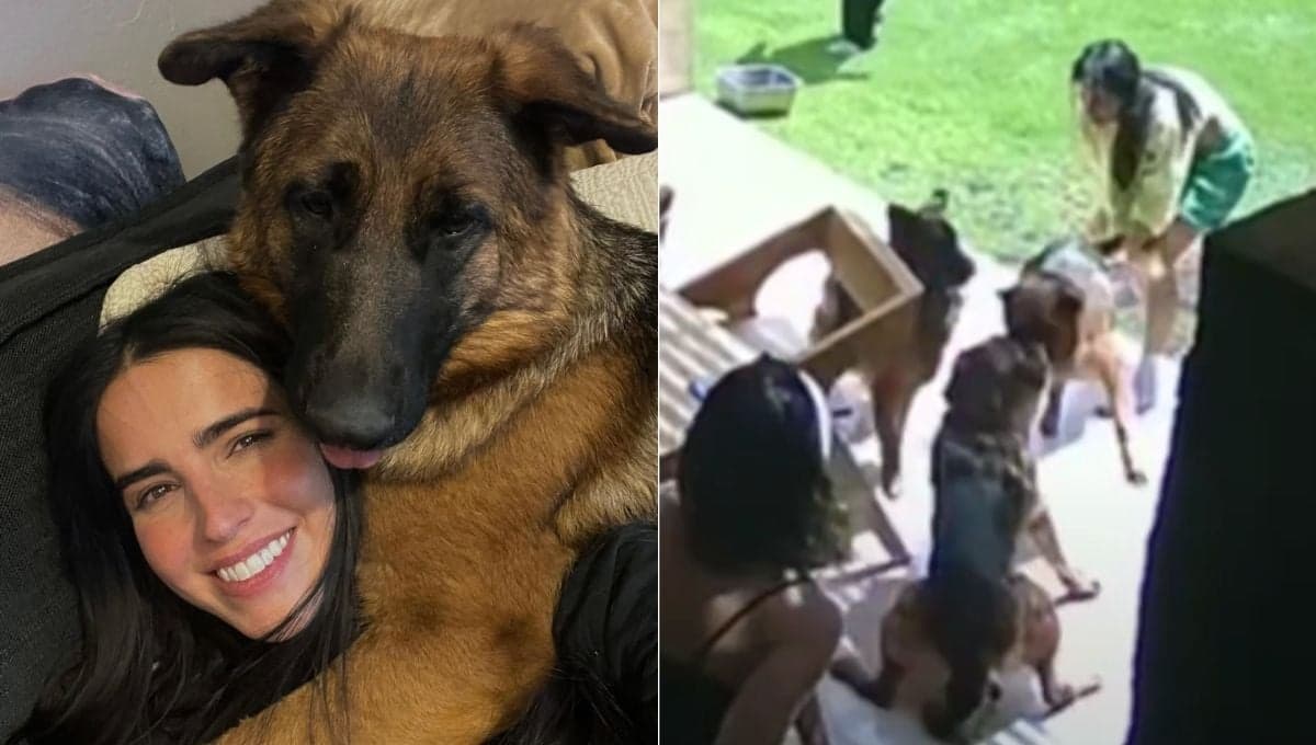 Bárbara de Regil sufre traumática pelea con sus perros ¿cómo evitarla?