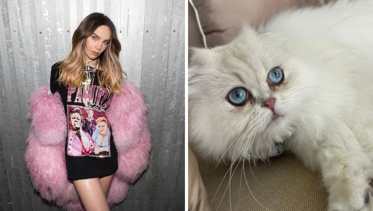 Belinda pierde a su gatito y pide ayuda para encontrarlo