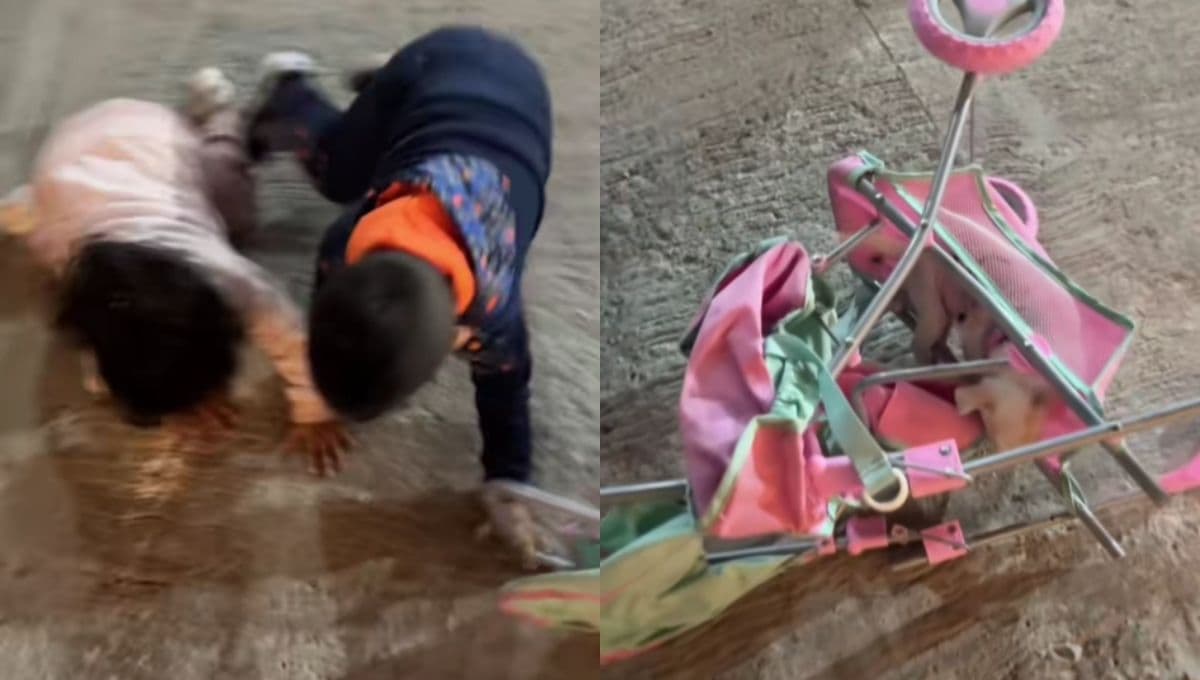 Niños juegan con perrito, lo tiran y su familia corre… pero por el cachorro