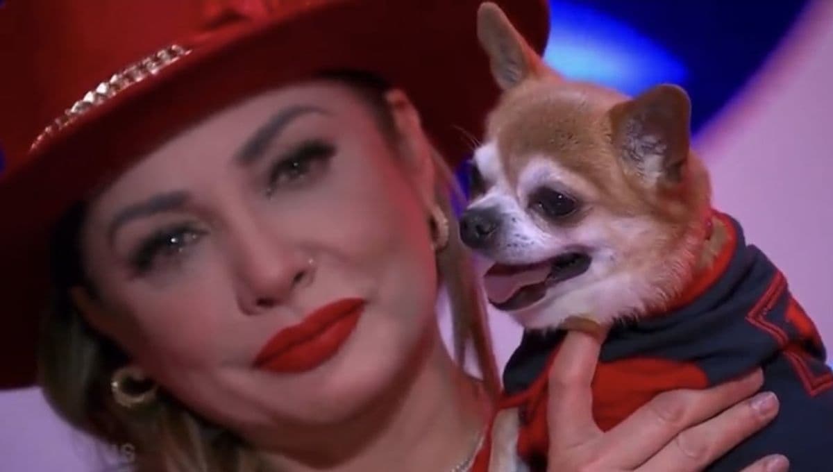 Así fue como Paty Navidad se reencontró con su perro en La Casa de los Famosos