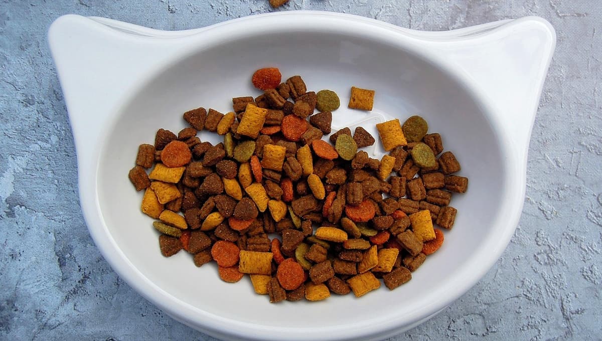 Nadie las pela, pero Profeco ya dijo que son las croquetas para gato más baratas y buenas