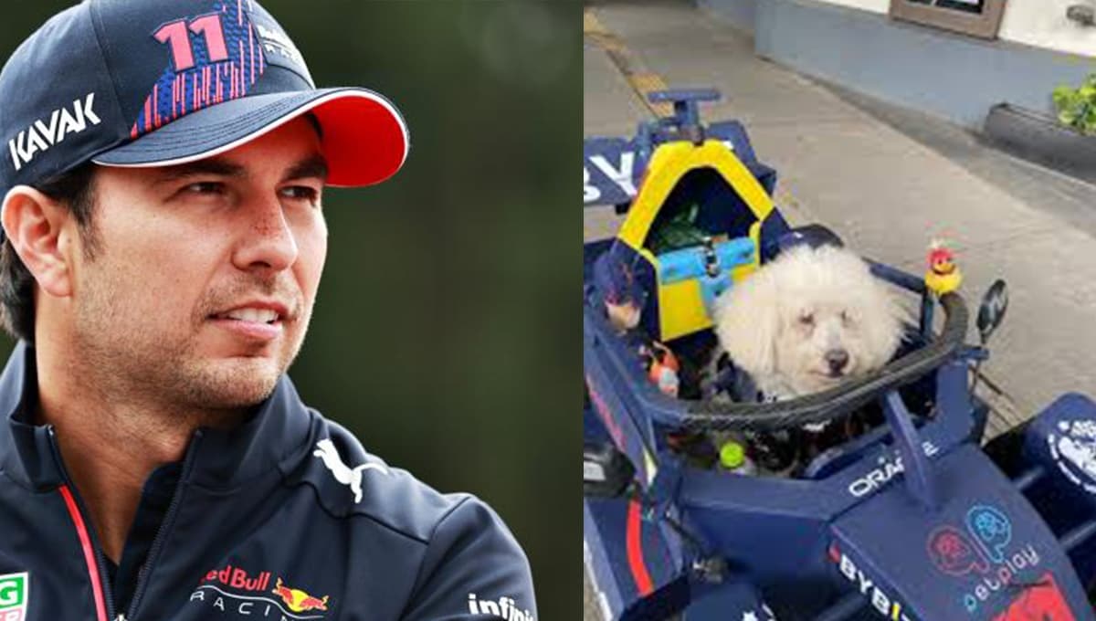 Muerte de Fabbio, el perrito fan de Checo Pérez: ¿qué mensaje mandó la familia del piloto al dueño?