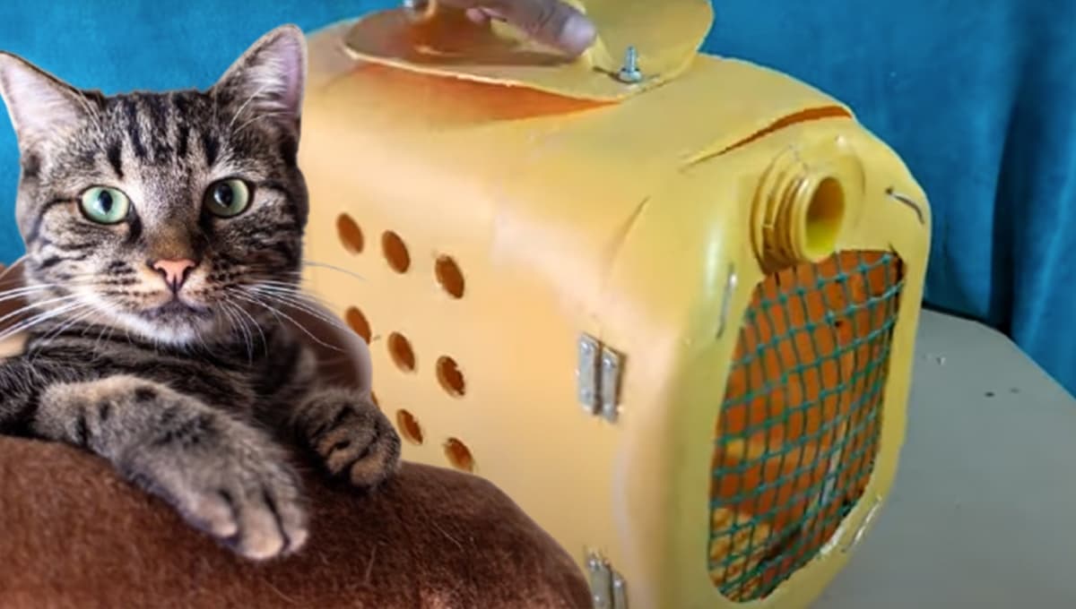 ¿Cómo hacer una transportadora casera para gatos con un bidón de gasolina?