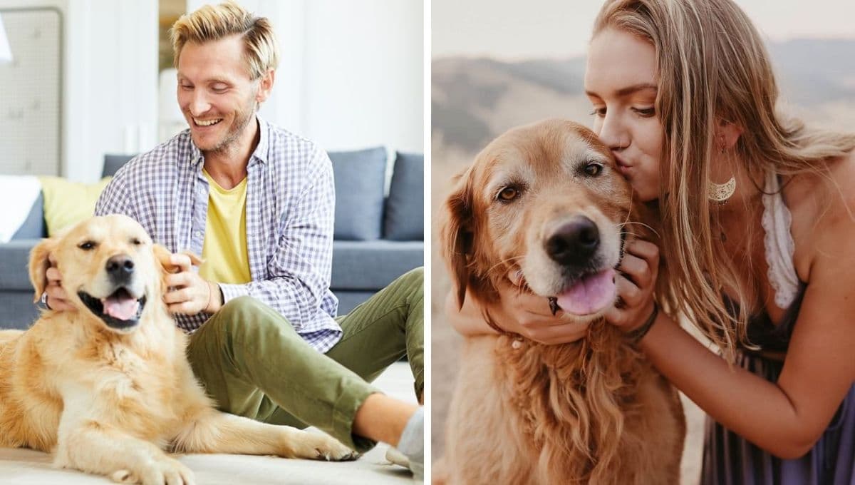 TEST para saber si eres buen dueño con tu perro
