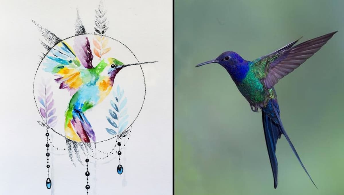 ¿Cuál es el mensaje espiritual de la visita de un colibrí?
