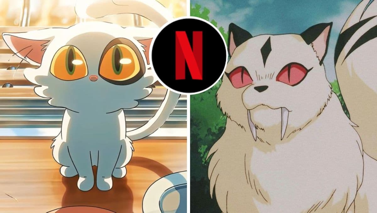 3 películas de gatos bonitas para ver en Netflix 2023