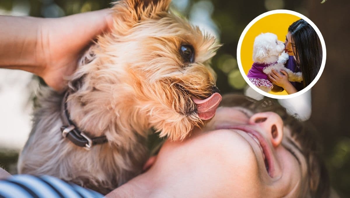 ¿Qué significa cuando mi perro me lame mucho y por qué es buena señal?