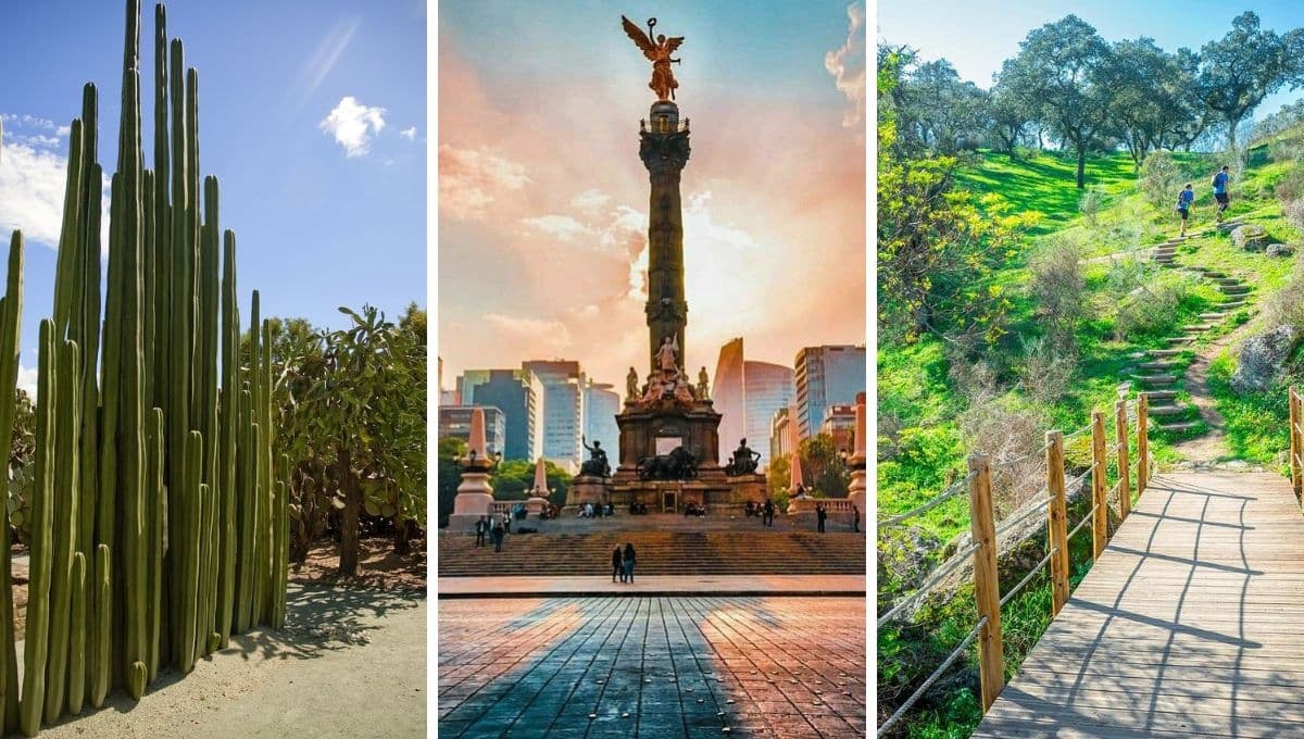 3 lugares para darte una escapada de un día cerca de CDMX con tu mascota