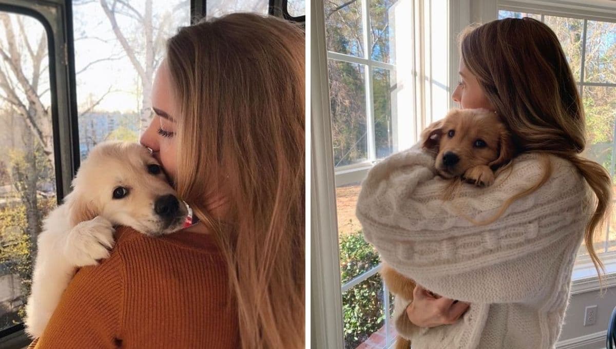 5 características de los perros excesivamente MIMADOS (y cómo corregirlos)