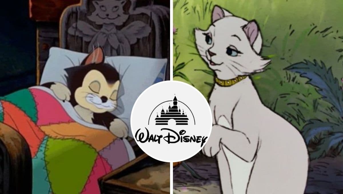 5 nombres para gatos machos inspirados en personajes de Disney