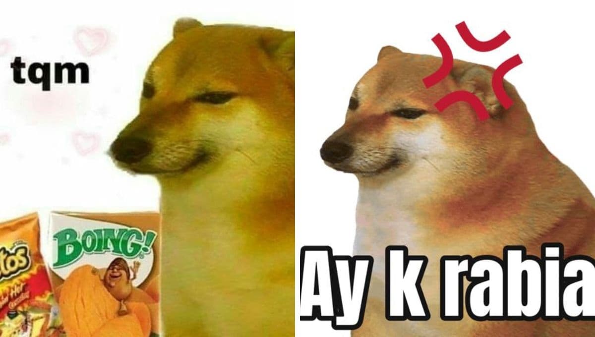 5 MEMES de cheems, el perrito más gracioso, en español para compartir