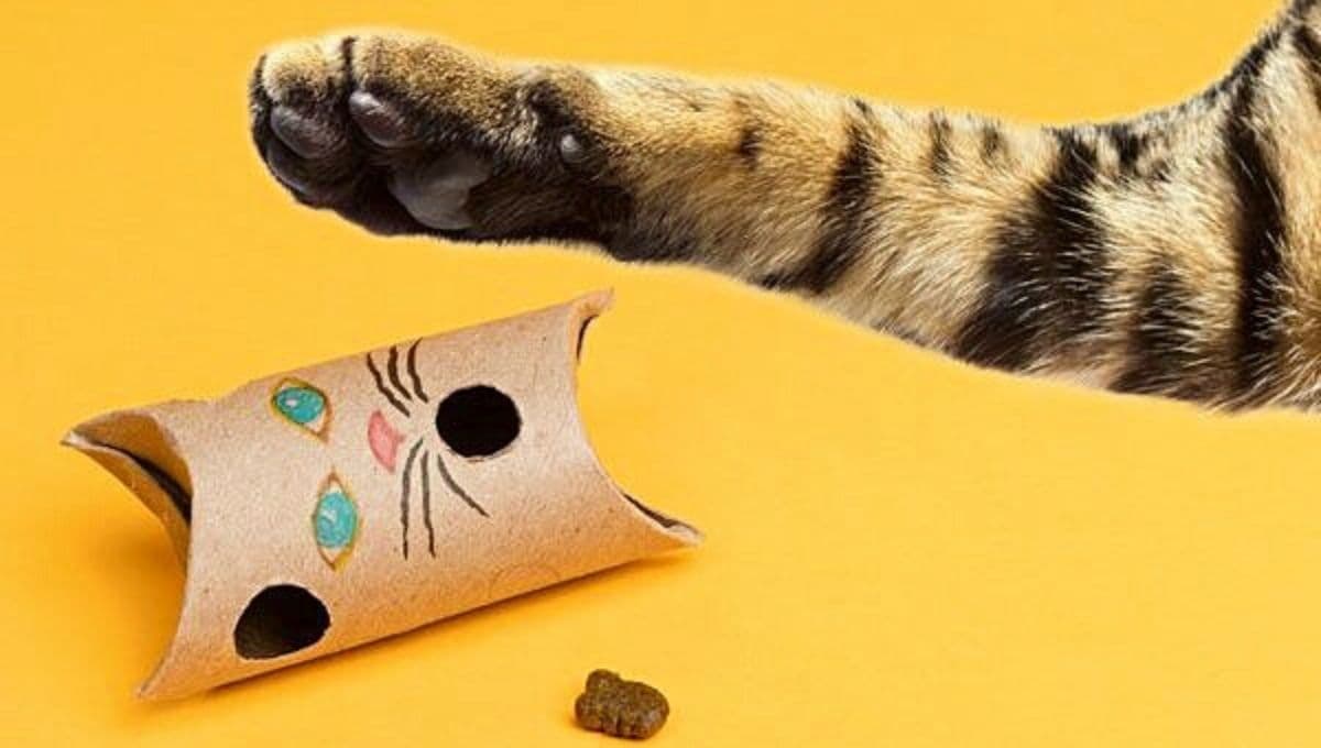 3 juguetes caseros para gatos fáciles y divertidos
