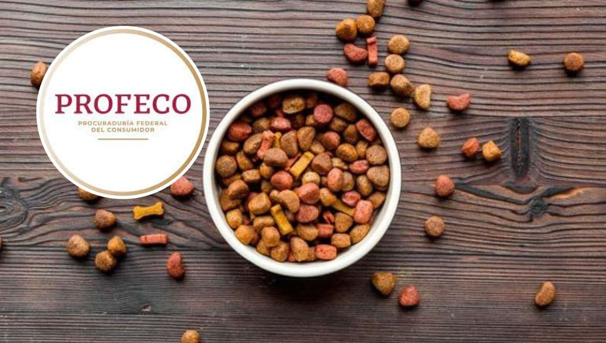 No miente y es la mejor croqueta para bajar de peso a tu perro según la Profeco