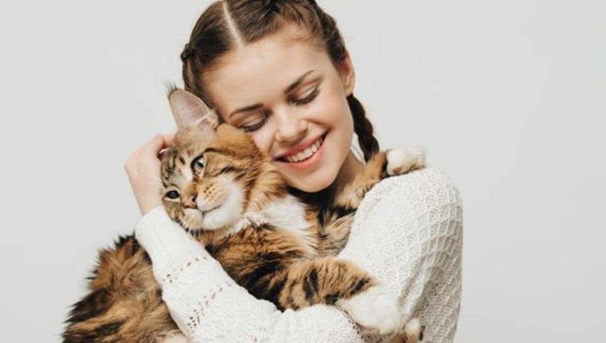 ¿Qué significa cuando una persona atrae a los gatos?