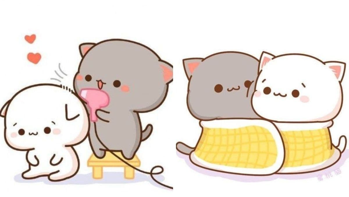5 FOTOS de gatitos enamorados y animados para compartir en WhatsApp