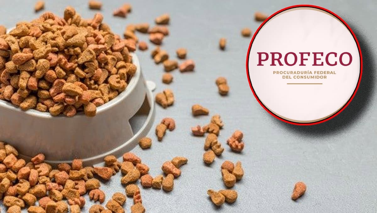 Es una de las croquetas para perro más famosas, pero Profeco le encontró IRREGULARIDADES