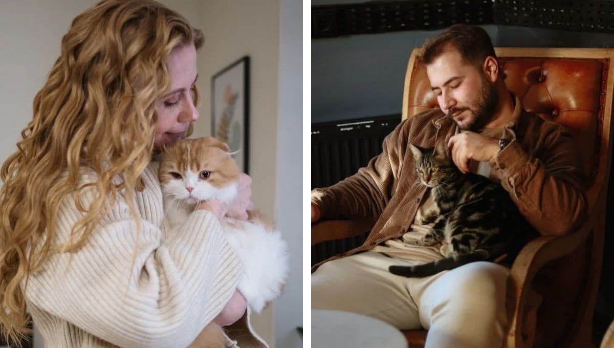 ¿Cómo ayuda un gato emocionalmente?